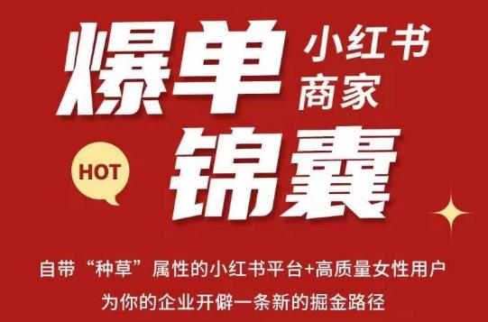 无畏·小红书商家爆单锦囊，掌握小红书各大规则，快速精准抢占行业和市场